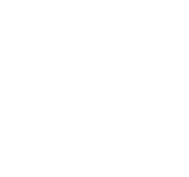 Counter Icon